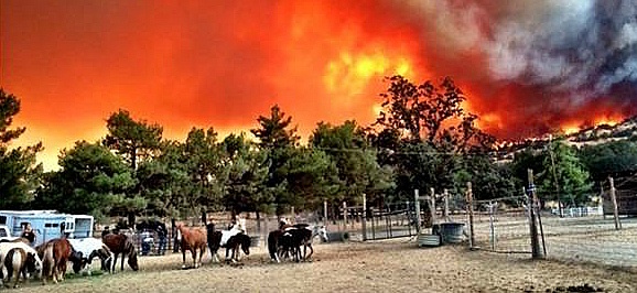 https://www.bartacic.org/wp-content/uploads/2018/08/Wildfires.jpg