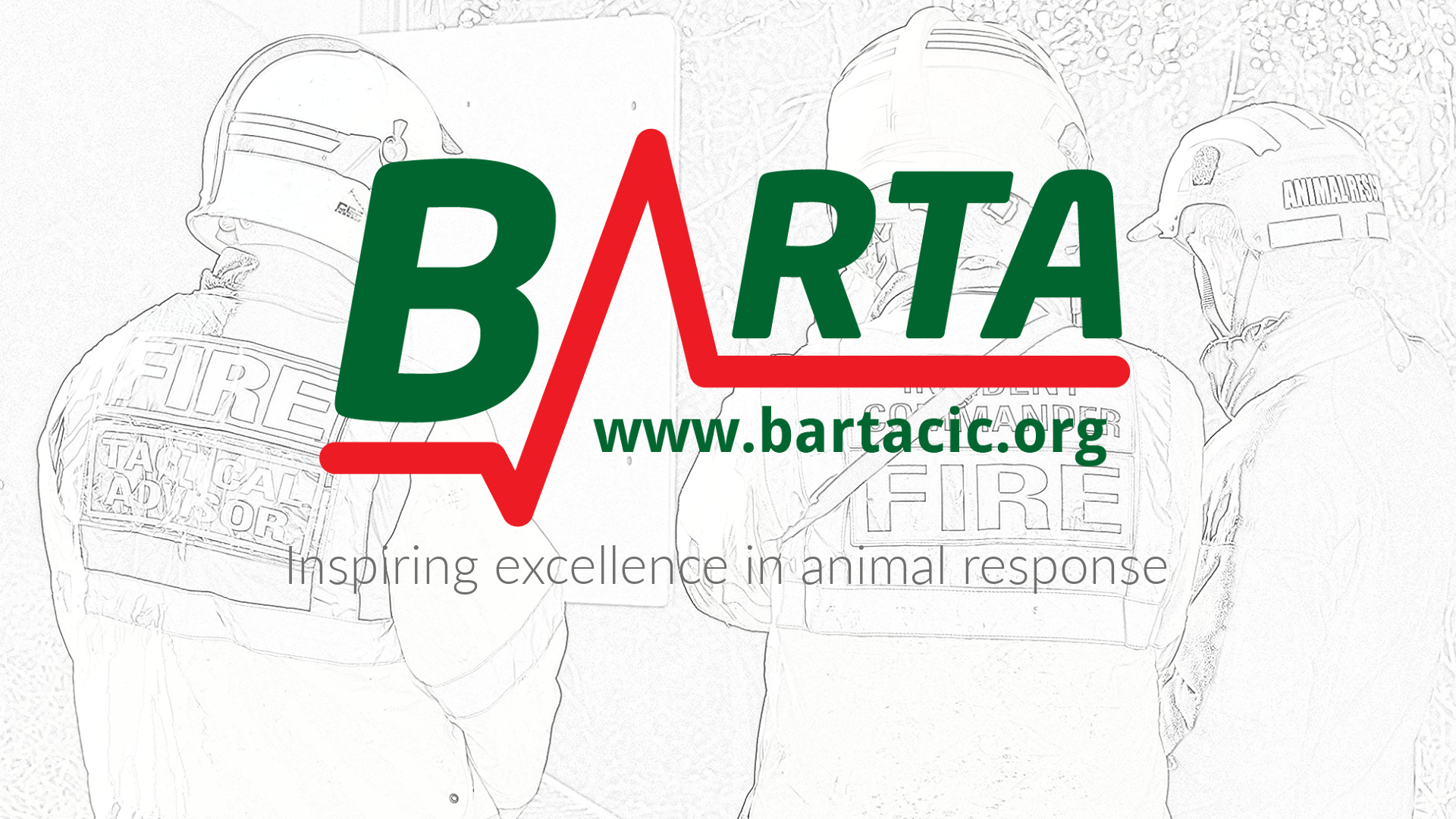 https://www.bartacic.org/wp-content/uploads/2024/12/Artticles.jpg